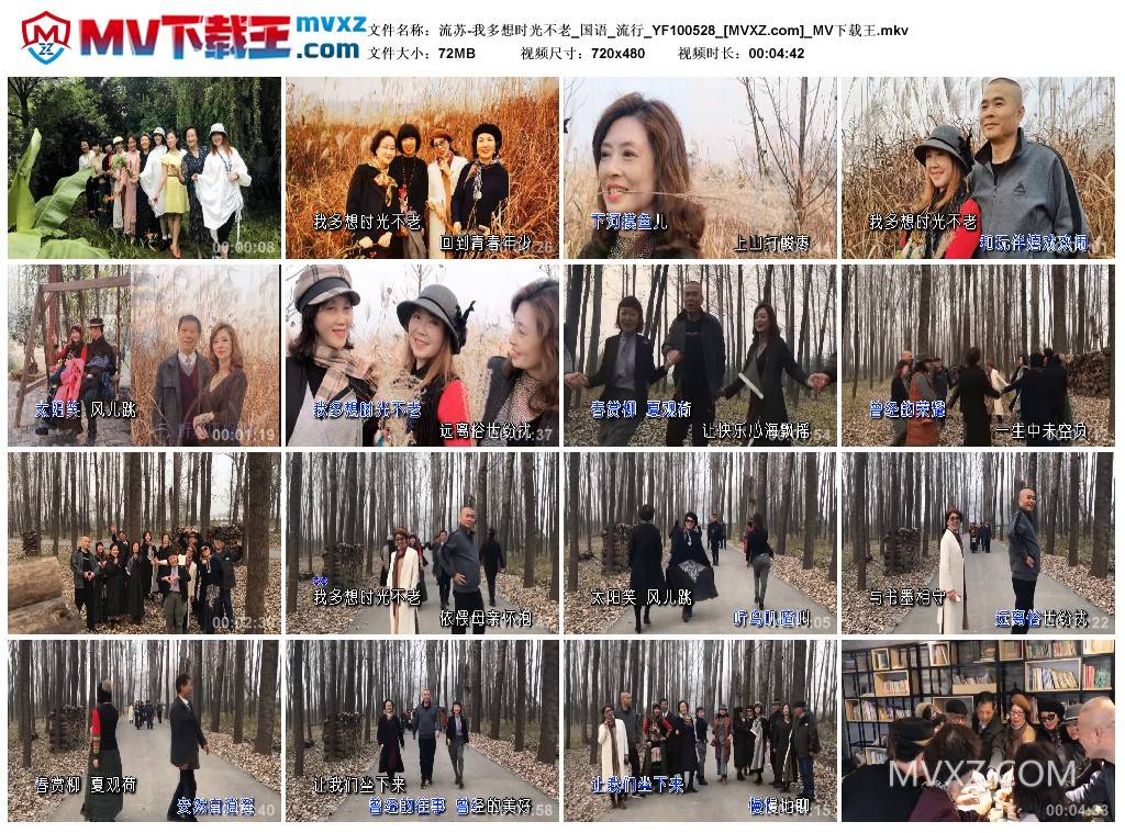 流苏-我多想时光不老_国语_流行_YF100528